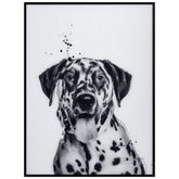 Dalmatian